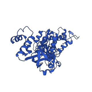 18133_8q3q_m_v1-0
Bacterial transcription termination factor Rho G152D mutant