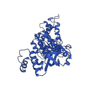 18133_8q3q_n_v1-0
Bacterial transcription termination factor Rho G152D mutant