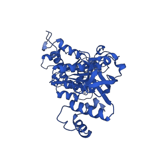 18133_8q3q_o_v1-0
Bacterial transcription termination factor Rho G152D mutant