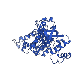 18133_8q3q_p_v1-0
Bacterial transcription termination factor Rho G152D mutant