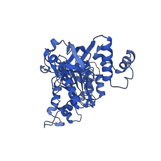 18133_8q3q_q_v1-0
Bacterial transcription termination factor Rho G152D mutant