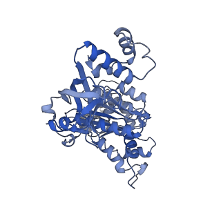 18133_8q3q_r_v1-0
Bacterial transcription termination factor Rho G152D mutant