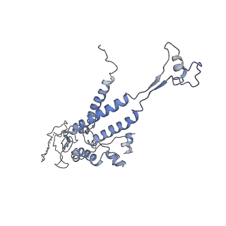 4459_6q3g_AI_v1-0
Structure of native bacteriophage P68