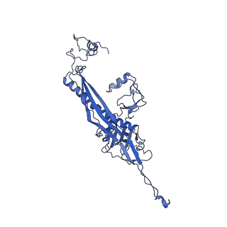 4459_6q3g_AL_v1-0
Structure of native bacteriophage P68