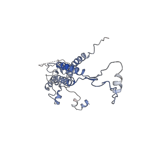 4459_6q3g_AM_v1-0
Structure of native bacteriophage P68