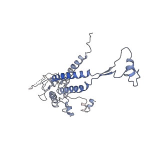 4459_6q3g_AO_v1-0
Structure of native bacteriophage P68