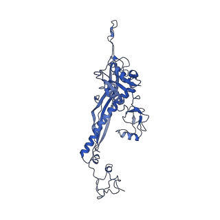 4459_6q3g_B1_v1-0
Structure of native bacteriophage P68