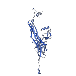 4459_6q3g_B6_v1-0
Structure of native bacteriophage P68