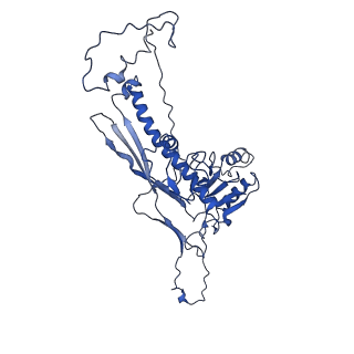 4459_6q3g_B7_v1-0
Structure of native bacteriophage P68