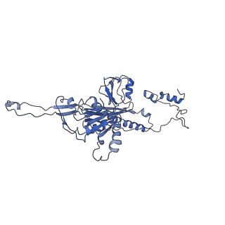 4459_6q3g_BD_v1-0
Structure of native bacteriophage P68