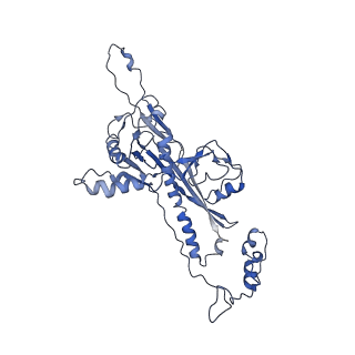 4459_6q3g_BK_v1-0
Structure of native bacteriophage P68