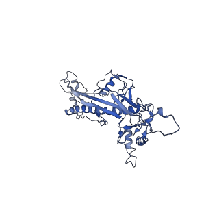 4459_6q3g_BL_v1-0
Structure of native bacteriophage P68