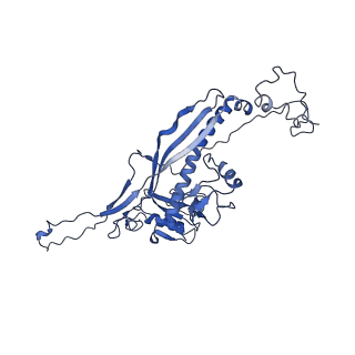 4459_6q3g_BQ_v1-0
Structure of native bacteriophage P68
