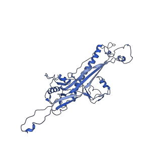4459_6q3g_BR_v1-0
Structure of native bacteriophage P68