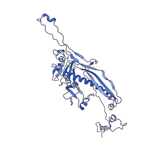 4459_6q3g_C8_v1-0
Structure of native bacteriophage P68