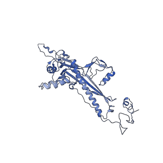 4459_6q3g_CD_v1-0
Structure of native bacteriophage P68