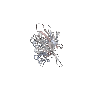 4459_6q3g_CI_v1-0
Structure of native bacteriophage P68