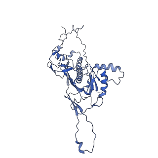 4459_6q3g_CJ_v1-0
Structure of native bacteriophage P68