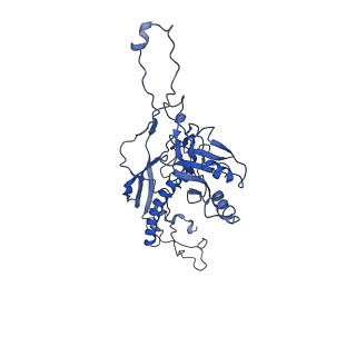 4459_6q3g_CL_v1-0
Structure of native bacteriophage P68