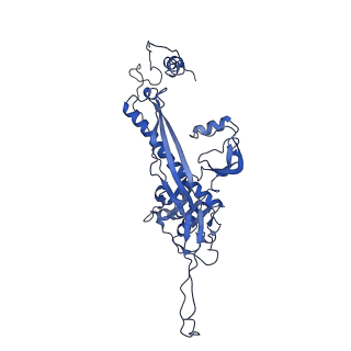4459_6q3g_D1_v1-0
Structure of native bacteriophage P68