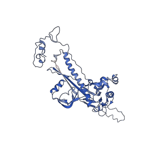 4459_6q3g_D3_v1-0
Structure of native bacteriophage P68