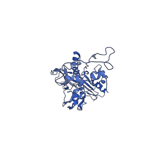 4459_6q3g_D4_v1-0
Structure of native bacteriophage P68