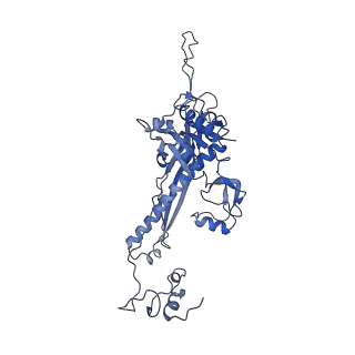4459_6q3g_D6_v1-0
Structure of native bacteriophage P68