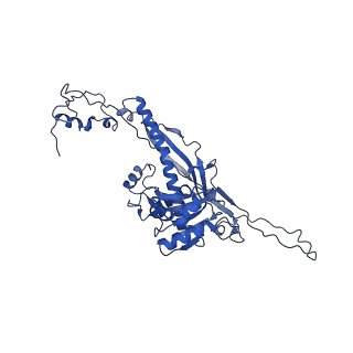 4459_6q3g_DG_v1-0
Structure of native bacteriophage P68