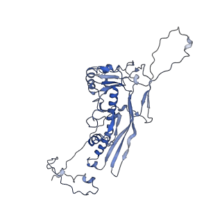 4459_6q3g_DJ_v1-0
Structure of native bacteriophage P68