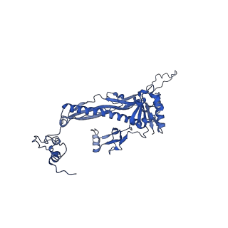 4459_6q3g_DR_v1-0
Structure of native bacteriophage P68