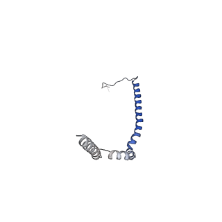4459_6q3g_FH_v1-0
Structure of native bacteriophage P68