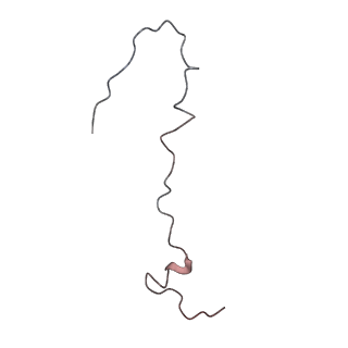 4459_6q3g_HP_v1-0
Structure of native bacteriophage P68