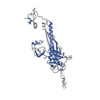 4459_6q3g_I4_v1-0
Structure of native bacteriophage P68