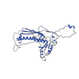 4459_6q3g_I8_v1-0
Structure of native bacteriophage P68
