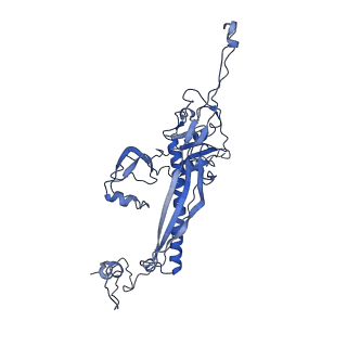 4459_6q3g_IG_v1-0
Structure of native bacteriophage P68