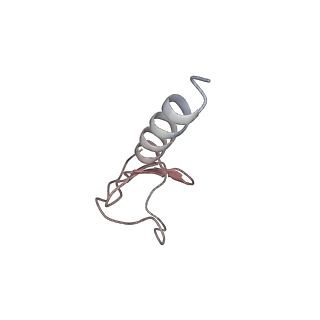 4459_6q3g_IK_v1-0
Structure of native bacteriophage P68