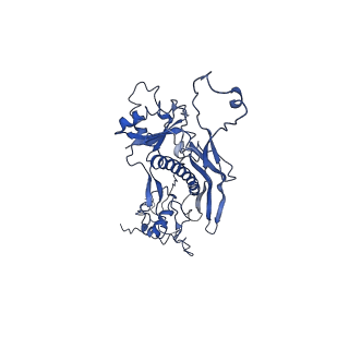 4459_6q3g_J4_v1-0
Structure of native bacteriophage P68