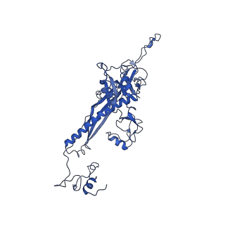 4459_6q3g_J7_v1-0
Structure of native bacteriophage P68