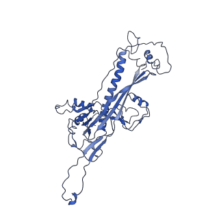 4459_6q3g_J8_v1-0
Structure of native bacteriophage P68