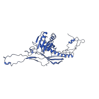 4459_6q3g_JQ_v1-0
Structure of native bacteriophage P68