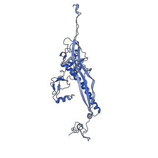 4459_6q3g_K3_v1-0
Structure of native bacteriophage P68
