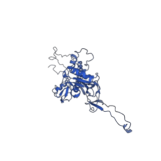 4459_6q3g_K4_v1-0
Structure of native bacteriophage P68