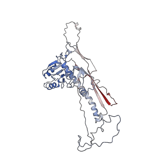 4459_6q3g_KJ_v1-0
Structure of native bacteriophage P68