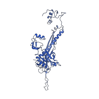 4459_6q3g_L3_v1-0
Structure of native bacteriophage P68