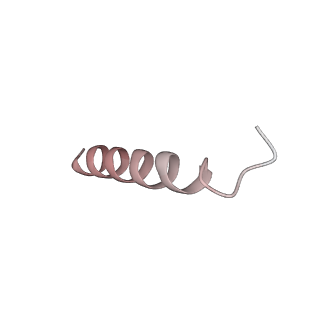 4459_6q3g_LA_v1-0
Structure of native bacteriophage P68