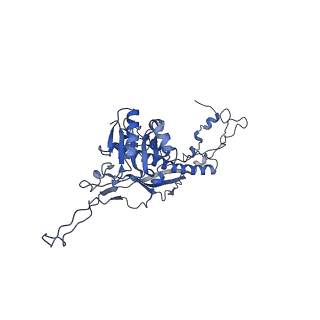 4459_6q3g_LG_v1-0
Structure of native bacteriophage P68