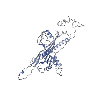 4459_6q3g_LJ_v1-0
Structure of native bacteriophage P68