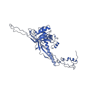 4459_6q3g_LL_v1-0
Structure of native bacteriophage P68
