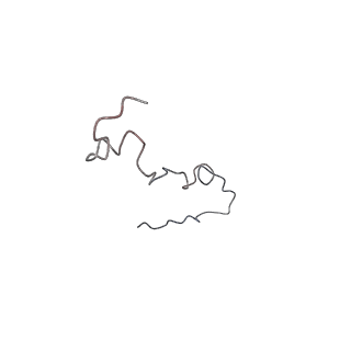 4459_6q3g_MG_v1-0
Structure of native bacteriophage P68