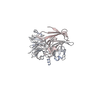 4459_6q3g_N9_v1-0
Structure of native bacteriophage P68